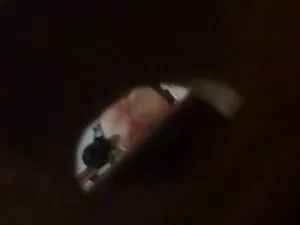 Uma BDSM com filme p ...