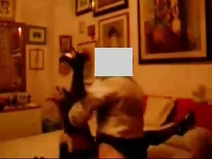 Garanhões latinos co ...
