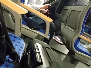 Todos os pátaros do  ...