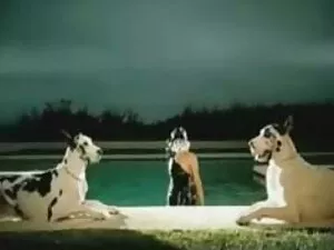 Bigcock, Magricelas, ...